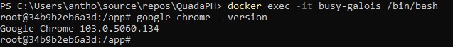 Utilizing the docker bin bash, I noticed that the chrome driver version and the installed Chrome doesn’t match and the version is too far off.