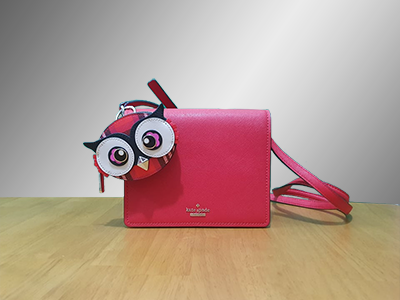 Kate Spade Cameron Street Crossbody bag with 3D plaid Owl Coin Purse