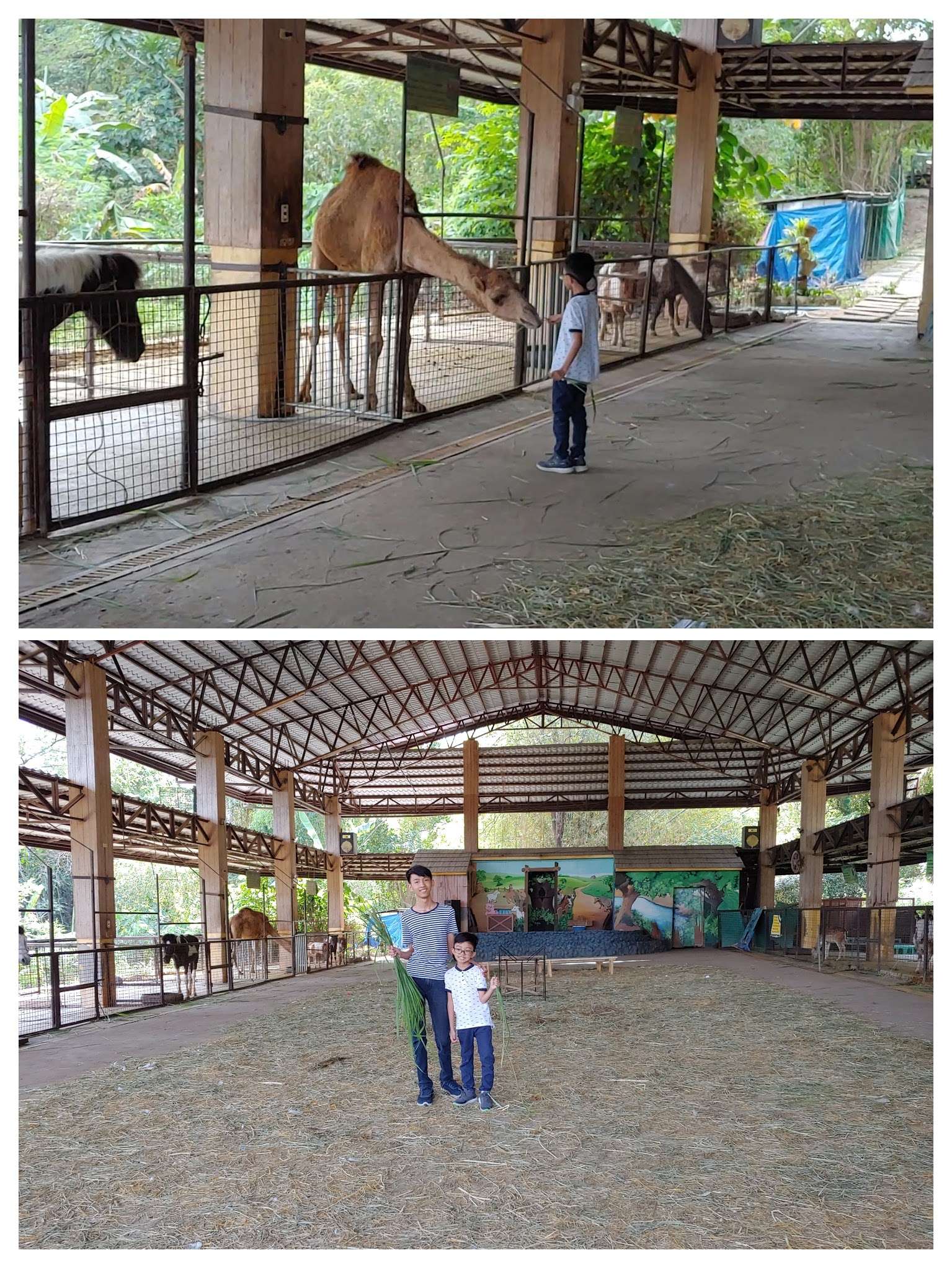 Zoocobia Barn